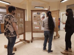 El Instituto Provincial Superior de Artes presenta la muestra “Murta” en Río Gallegos