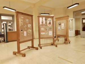 El Instituto Provincial Superior de Artes presenta la muestra “Murta” en Río Gallegos