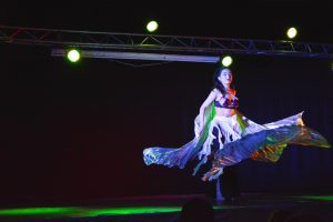 Miles de personas disfrutaron de la 28° Feria Provincial del Libro