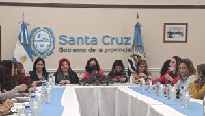 Se llevó a cabo el primer Consejo Provincial de Mujeres, Género y Diversidades de Santa Cruz