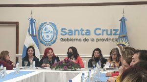 Se llevó a cabo el primer Consejo Provincial de Mujeres, Género y Diversidades de Santa Cruz