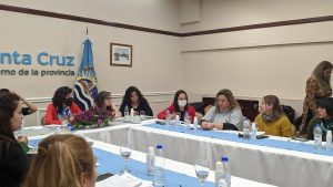 Se llevó a cabo el primer Consejo Provincial de Mujeres, Género y Diversidades de Santa Cruz