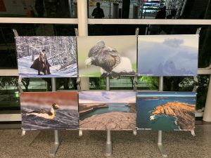 Santa Cruz exhibe su belleza en la Muestra fotográfica Turismo AA2000      