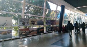 Santa Cruz exhibe su belleza en la Muestra fotográfica Turismo AA2000      