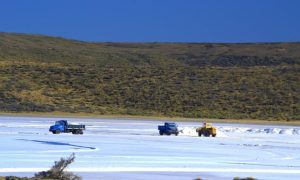 Realizan tareas de acopio de sal para el mantenimiento de rutas