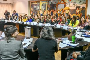 El Ministerio de la Igualdad e Integración participó de la Mesa Federal de Políticas Económicas con Perspectiva de Género