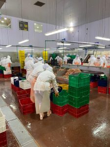 Puerto Deseado: Se controlaron las condiciones de seguridad e higiene en la pesca