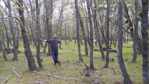 16 de agosto: Se celebra el Día Nacional de los Profesionales de la Ingeniería Forestal