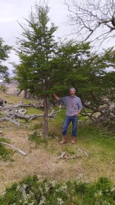 16 de agosto: Se celebra el Día Nacional de los Profesionales de la Ingeniería Forestal