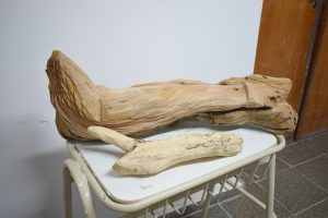 Estudiantes del IPSA participaron de la XXII Bienal Internacional de Escultura de Chaco