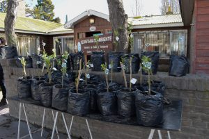 #AccionesVerdes: Exitosa Jornada de Ecocanje Electrónico en Río Gallegos