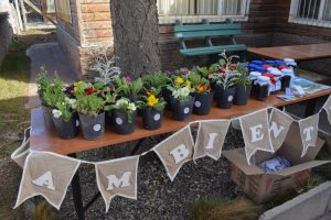 #AccionesVerdes: Exitosa Jornada de Ecocanje Electrónico en Río Gallegos