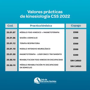 Caja de Servicios Sociales: La obra social santacruceña visibilizó los valores vigentes en kinesiología