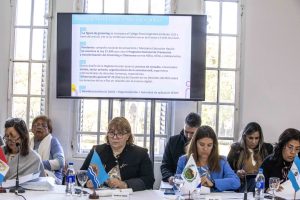 Se avanza en líneas de acción para la protección de infancias y adolescencias