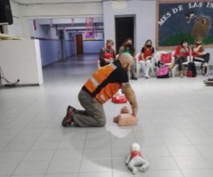 Continúan las Jornadas de Capacitación Docente de Nivel Inicial