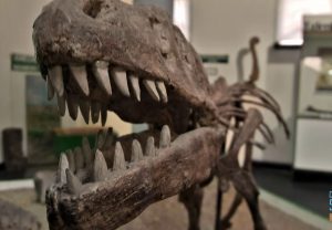 Aguilar: “Aprovechamos para abrir las puertas del conocimiento del Museo”