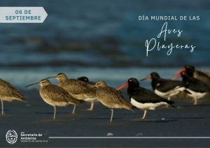 La Secretaría de Ambiente celebró el Día de las Aves Playeras