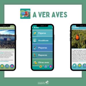 La Secretaría de Ambiente celebró el Día de las Aves Playeras