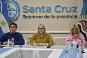Salud concretó el Foro Provincial por el Día Nacional y Mundial de la prevención del suicidio