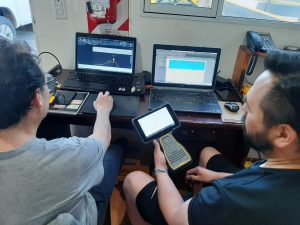 Vialidad Provincial realiza tareas de recuperación sobre la RPN N° 39