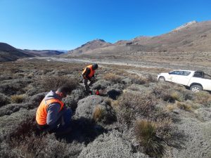 Vialidad Provincial realiza tareas de recuperación sobre la RPN N° 39