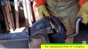 Estudiantes de la Escuela Agropecuaria continúan con los proyectos vinculados al sector productivo