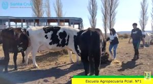 Estudiantes de la Escuela Agropecuaria continúan con los proyectos vinculados al sector productivo