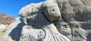 Desarrollan un proyecto recuperación y revalorización de materiales patagónicos