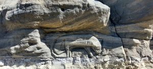 Desarrollan un proyecto recuperación y revalorización de materiales patagónicos