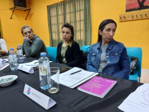 Se realizó la 2ª sesión del Consejo Provincial de Mujeres, Géneros y Diversidades en Los Antiguos