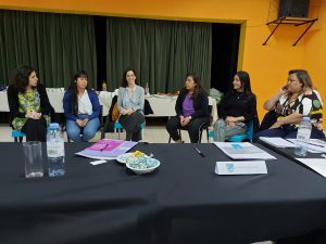 Se realizó la 2ª sesión del Consejo Provincial de Mujeres, Géneros y Diversidades en Los Antiguos