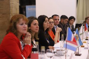 Santa Cruz participó de una nueva asamblea del Consejo Federal de Drogas