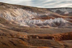 Se conocen los ganadores del concurso fotográfico “Los 4 elementos de la Naturaleza”