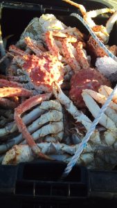 Prospección de Centolla con el fresquero santacruceño “Cristo Redentor”