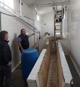 Se inauguró el invernadero municipal de Perito Moreno