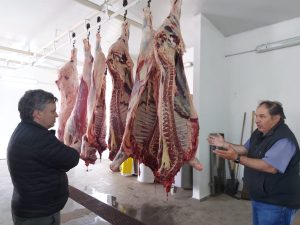 Se inauguró el invernadero municipal de Perito Moreno