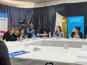 Koluel Kayke: Se concretó una nueva Sesión del Consejo Provincial de Niñez