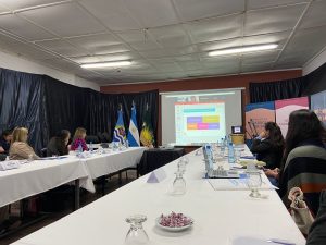 Koluel Kayke: Se concretó una nueva Sesión del Consejo Provincial de Niñez
