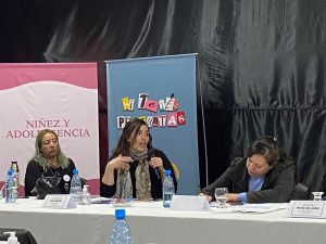 Koluel Kayke: Se concretó una nueva Sesión del Consejo Provincial de Niñez