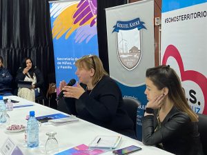 Koluel Kayke: Se concretó una nueva Sesión del Consejo Provincial de Niñez