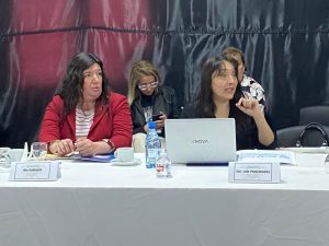 Koluel Kayke: Se concretó una nueva Sesión del Consejo Provincial de Niñez