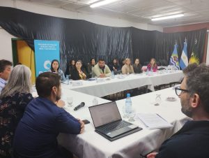 Koluel Kayke: Se concretó una nueva Sesión del Consejo Provincial de Niñez