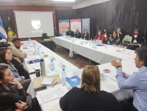 Koluel Kayke: Se concretó una nueva Sesión del Consejo Provincial de Niñez