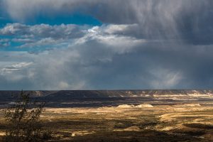 Turismo acompañó la presentación de la estancia Rancho Patagónico en Bosques Petrificados