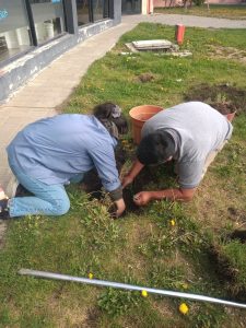 Se plantó flora nativa en el Complejo Cultural en el marco de los 100 años de la Rebelión