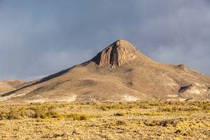 Bosque Petrificado, una maravilla escondida en medio de la Patagonia