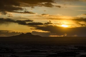 Bosque Petrificado, una maravilla escondida en medio de la Patagonia