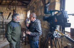 Bosque Petrificado, una maravilla escondida en medio de la Patagonia
