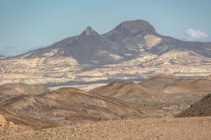 Bosque Petrificado, una maravilla escondida en medio de la Patagonia