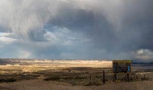 Bosque Petrificado, una maravilla escondida en medio de la Patagonia
